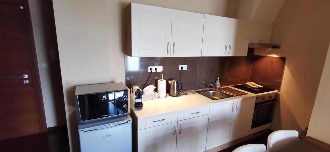 Moser Apartment Carlsbad Karlsbad Eksteriør billede